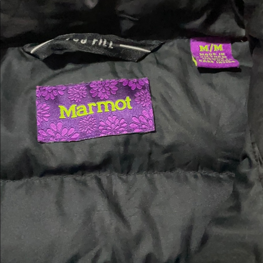 Jacket - Picture 3 of 5